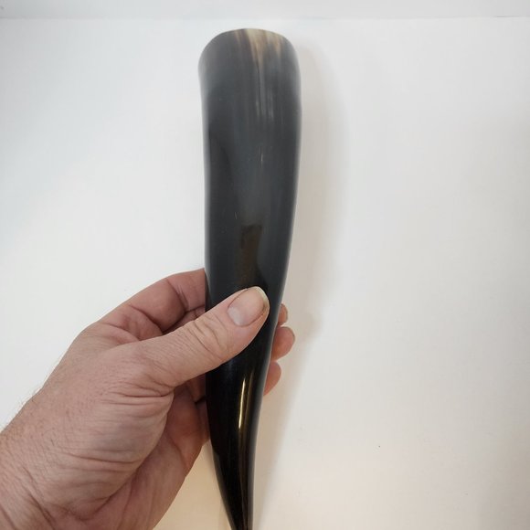 Water Buffalo Horn average 12-15 inch - Picture 3 of 11